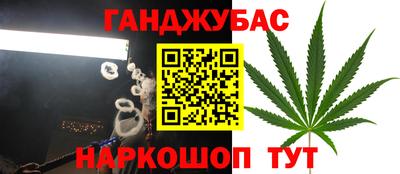 гашик Волжск
