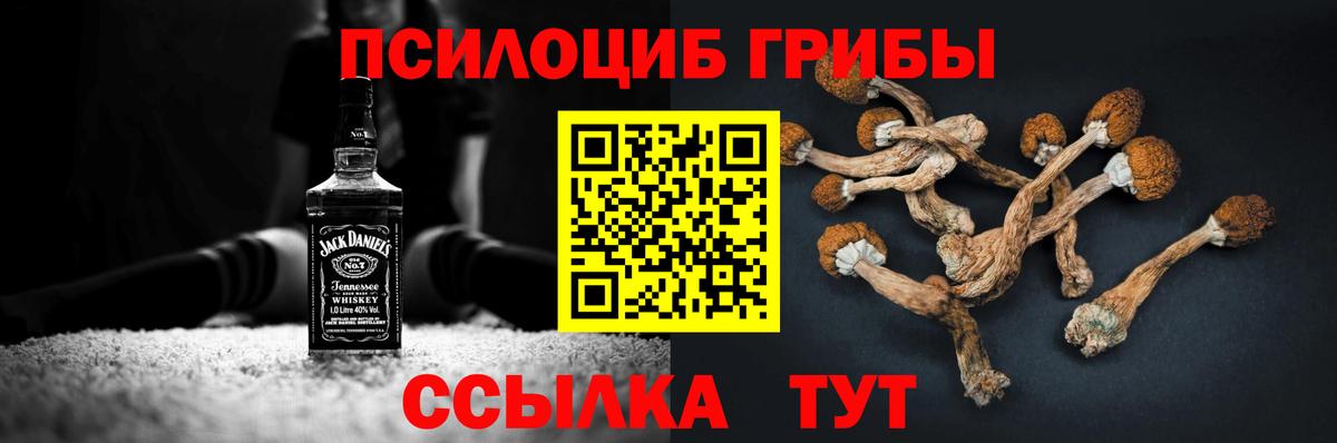 Галлюциногенные грибы Psilocybe Нягань